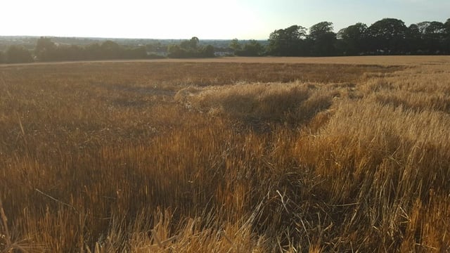 Farmer's barley crop partially damaged in 'suspicious' field fire