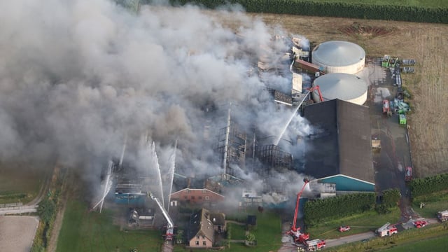 Video: 20,000 pigs die in devastating Dutch farm fire