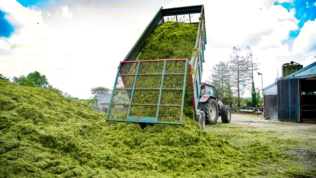 Grass growth: Onwards and upwards from here