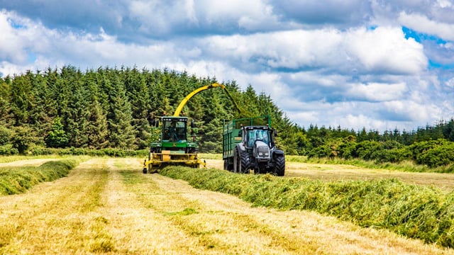 Fodder shortage: Supports needed for lowly-stocked farms to grow more silage