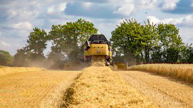Can you make or save €50/ac in 2018 on your tillage farm?