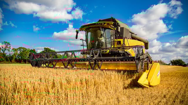 Is the Irish tillage industry facing a cliff edge?