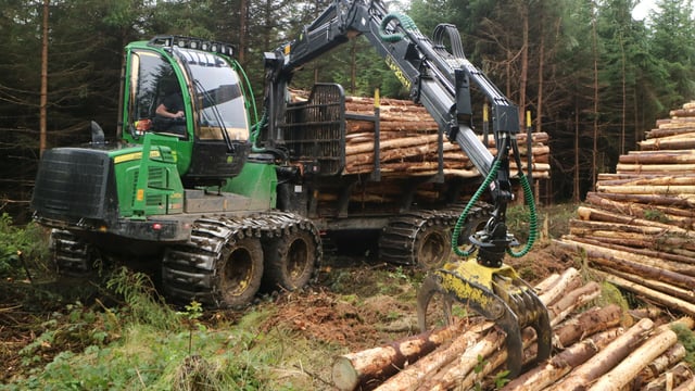 'Urgent review of the forestry appeals process is welcome' - Forest Industries Ireland