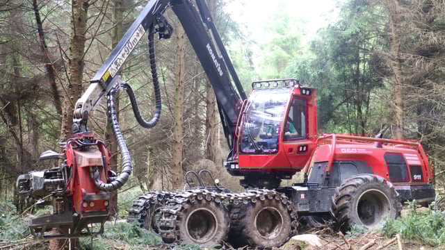 Forest roads single consent system 'must simplify process'