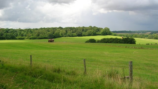 Report: How did agricultural land prices compare depending on a residence?