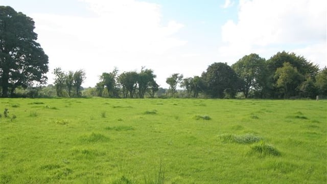 Pics: Longford farm with "enormous potential" sells for close to €7,300/ac