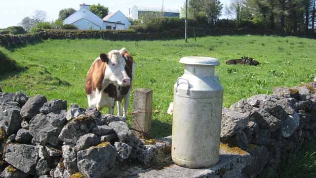 Milk suppliers call for end to 'low and slow’ approach to passing on better prices