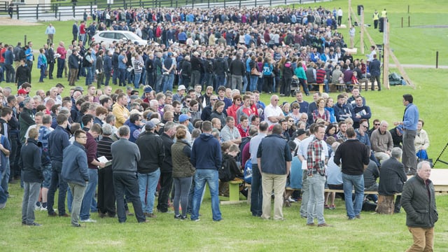 Five take-home messages from Moorepark '17