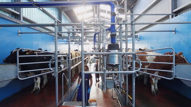 Don't underestimate the power of teat spraying at this time of year