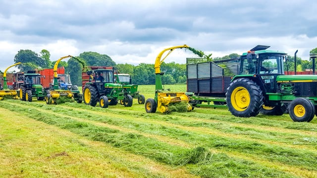 Silage extravaganza: 50 pics showing an army of harvesters in action