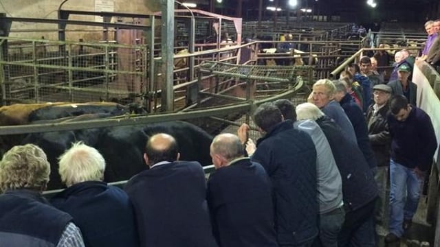 Sale of major livestock mart edges closer