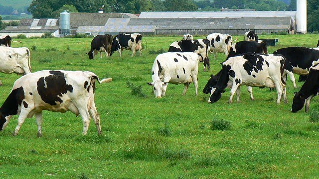 'The right technology fuels dairy expansion sustainably'