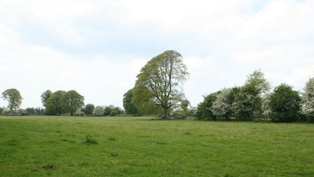 339ac of farm land makes €1.68 million at auction