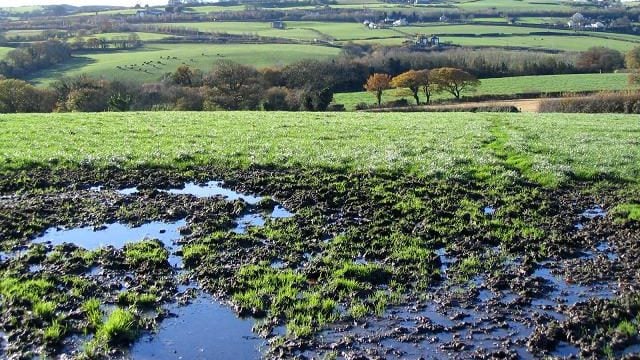 Soil drainage - is it worth the initial investment?