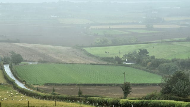 'The model of one farmer is very isolating and not resilient'