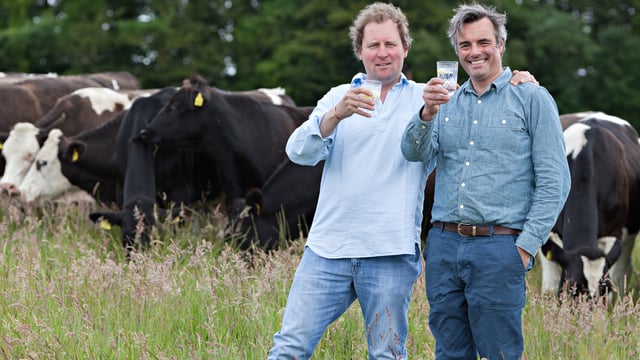 Co. Cork milk gin goes from 'grass to glass'