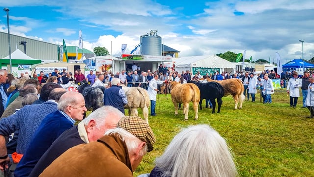 A day for all ages at the 76th Virginia Show