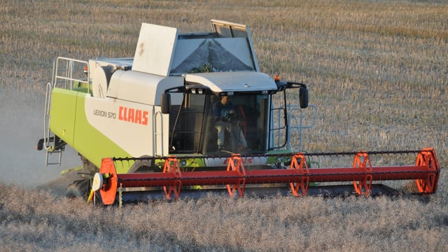 'Farmer-owned co-ops must set sustainable prices for growers this harvest'