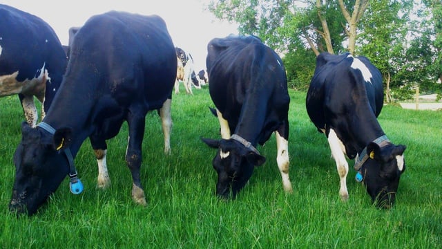 'Milking More from Grass' event set for September