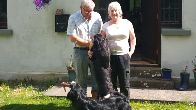 Tipperary pig farmers on a slice of life as Airbnb hosts