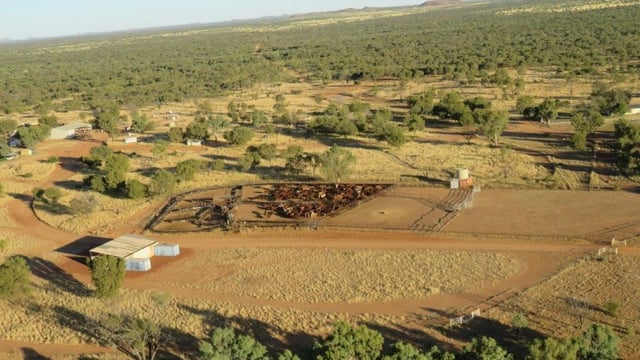 Pics: See the Australian cattle station that sold for $13 million