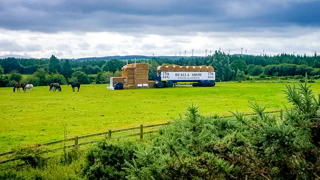 Dualla Show puts spotlight on cattle classes