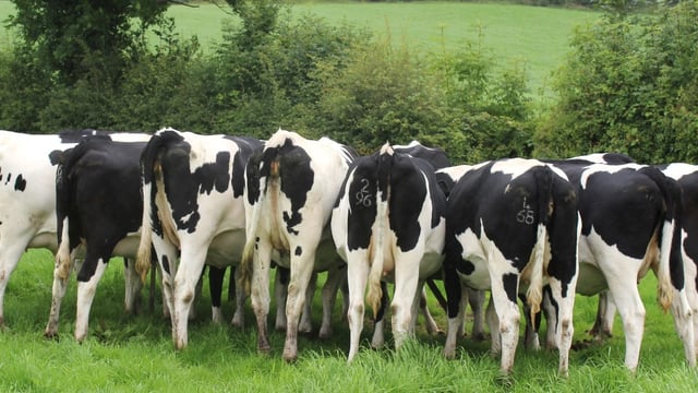 Glanbia fixed price offer - you’d be a fool not to take it