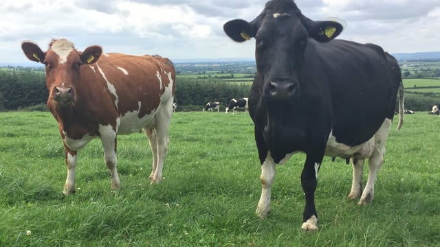 Pics: Planning to milk 360 cows on a 60% leased farm