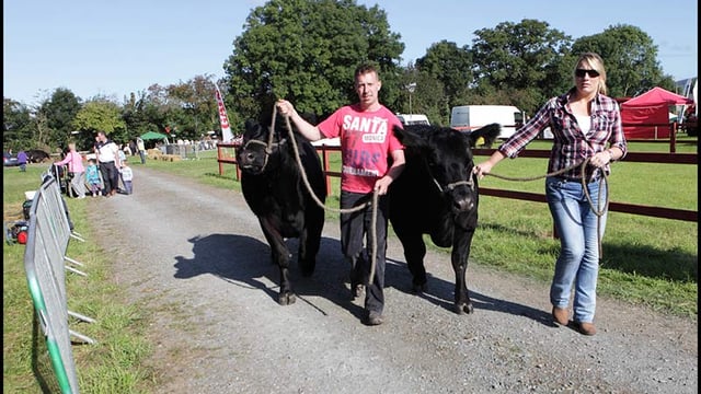 Iverk Show gets set to impress this Saturday