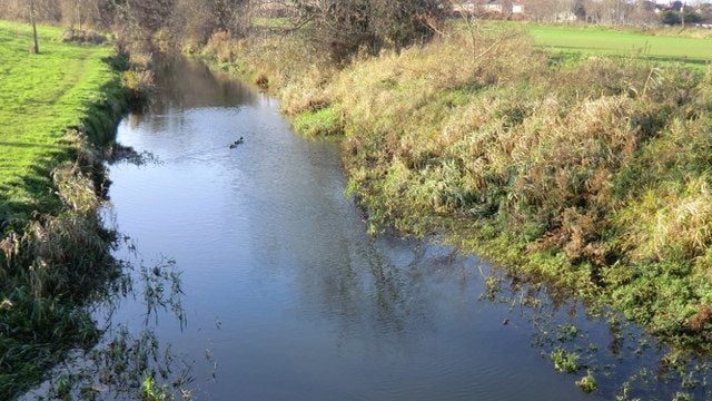 Construction company fined for waterway pollution