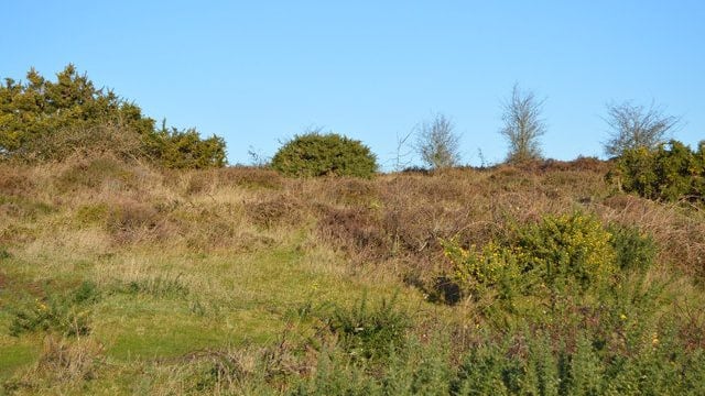 New EU land designations will see  large areas of farmland 'sterilised' - INHFA
