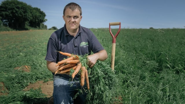 Kilkenny family grows carrots business