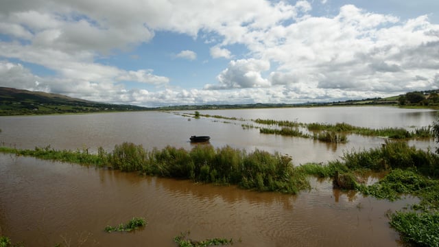 Farm losses in flood-hit Donegal to be assessed without delay