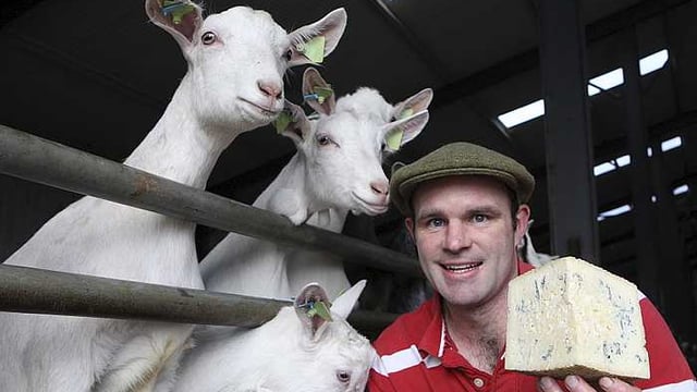 Awards roll in for Meath farmer's cheese enterprise