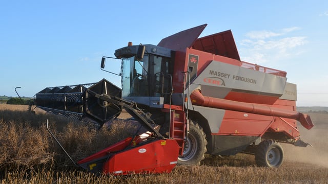 €380/t oilseed rape contract available for harvest 2018