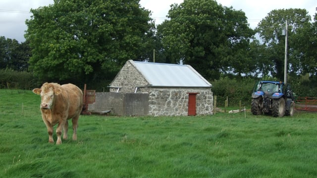 Heritage Week events for Irish farms