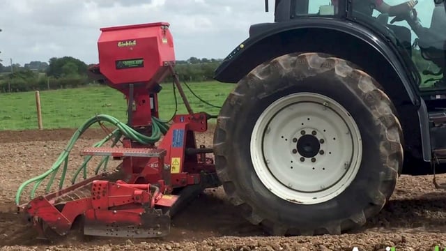Reseeding not the solution to heavily infected worm pastures