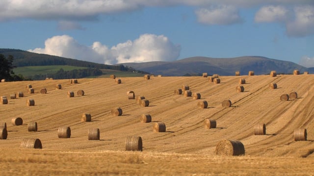 Minister rules out increasing ceiling in Straw Incorporation Measure