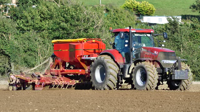 'It's madness to sow winter barley so early in the season'