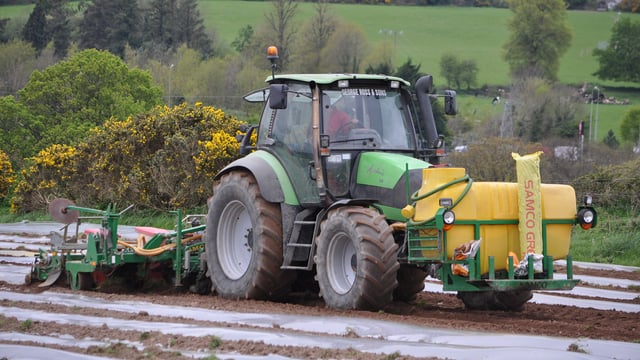'Maize acreage will increase with rising milk prices'