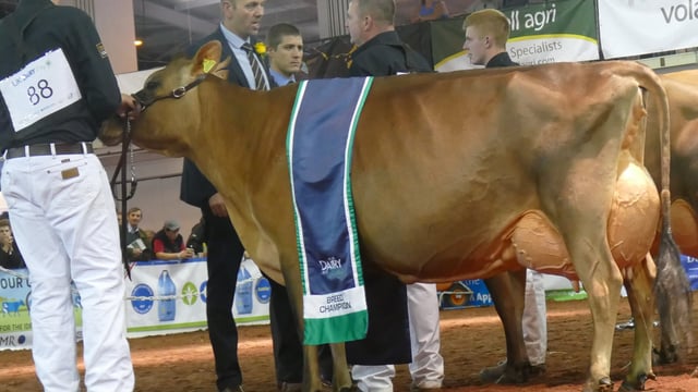 Harp hits the right notes at UK Dairy Day