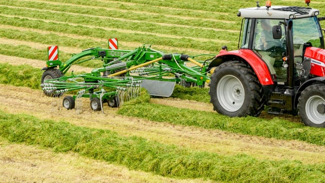 Irish agriculture is so dependent on the weather