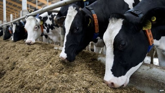 Women in agriculture targeted in new recruitment campaign