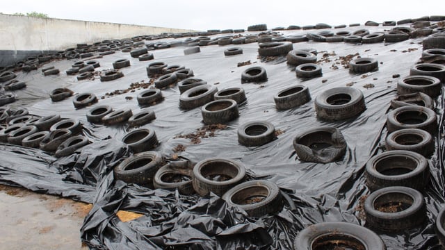 Forage crisis is now on the cards for farmers in the west