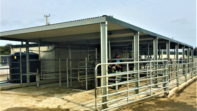 What does a €2,600/cow investment get you on a greenfield site?