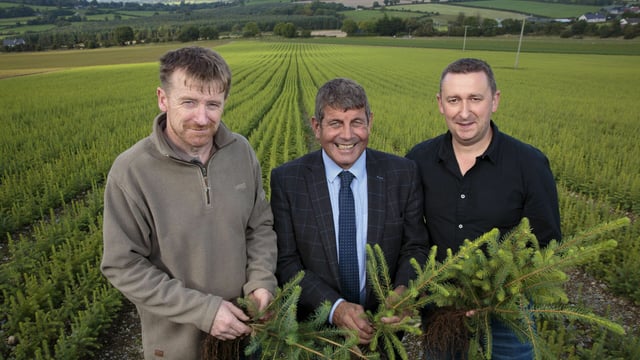 'Complementary activity': Farmers encouraged to consider forestry