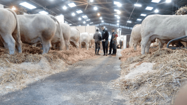 Irish agri-tech companies showcase to over 100,000 visitors in France