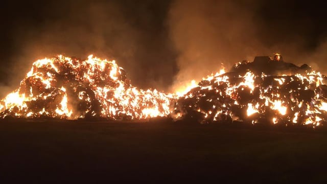 Forest fire warning - 'need for vigilance cannot be overstated'