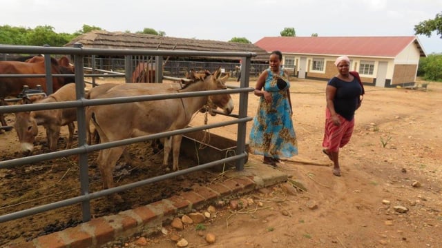 Mountbellew Franciscans appeal for agricultural equipment