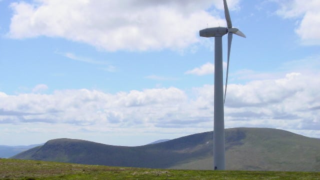 Galway farmer moves from dry stock to plant-based enterprise